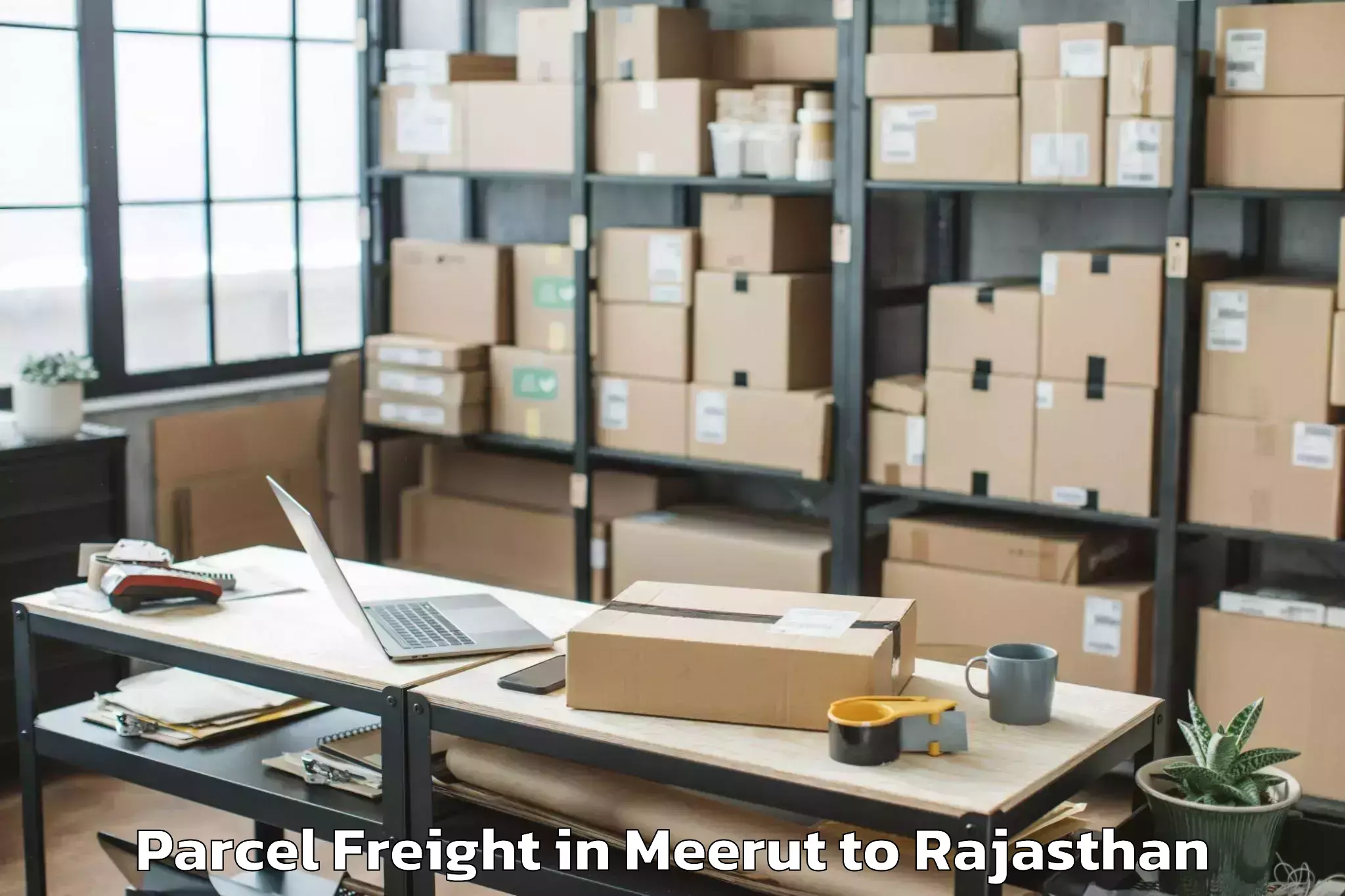 Meerut to Karauli Parcel Freight Booking